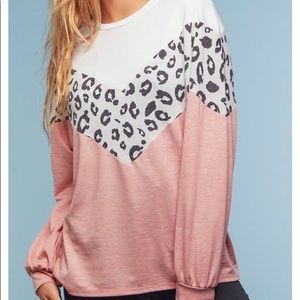 Plus Blush & Animal Color Block Sweater